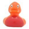 Rainbow Duck - Image 2