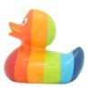 Rainbow Duck - Image 3