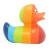 Rainbow Duck - Image 4