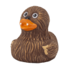 Whooping Duck
