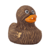 Whooping Duck - Image 3