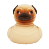 Mr Pug Duck - Image 5