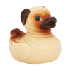 Mr Pug Duck - Image 3